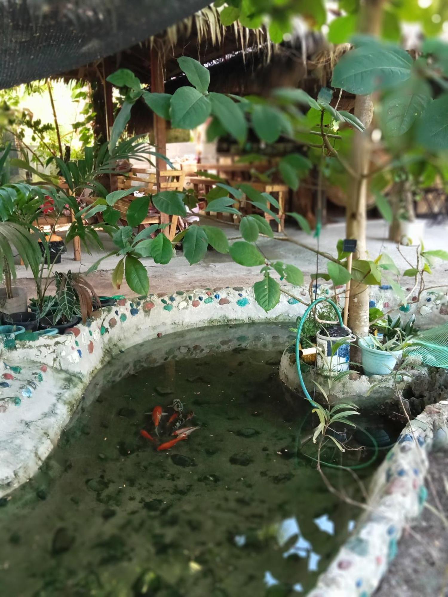 Weeroona Huts Homestay Pacifico San Isidro  Εξωτερικό φωτογραφία